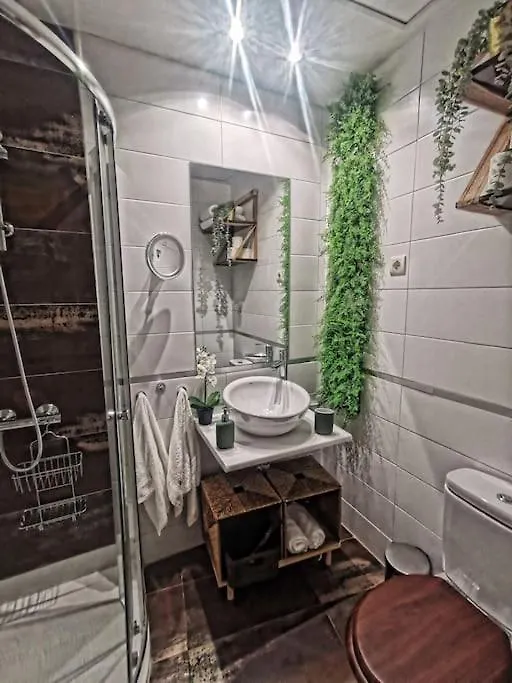 Apartamento A 2 Minutos De Plaza La Merced, Malaga Apartment